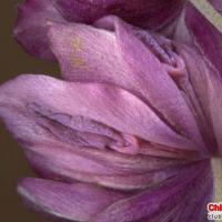 /photo/567166/111/z71a@r`[}4o4i@$i57w2_1_3_small.jpg